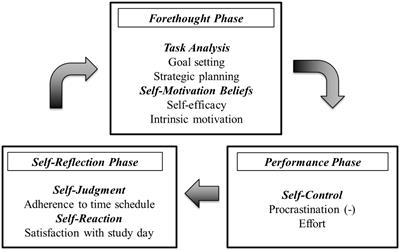 Daily automated feedback enhances self-regulated learning: a longitudinal randomized field experiment
